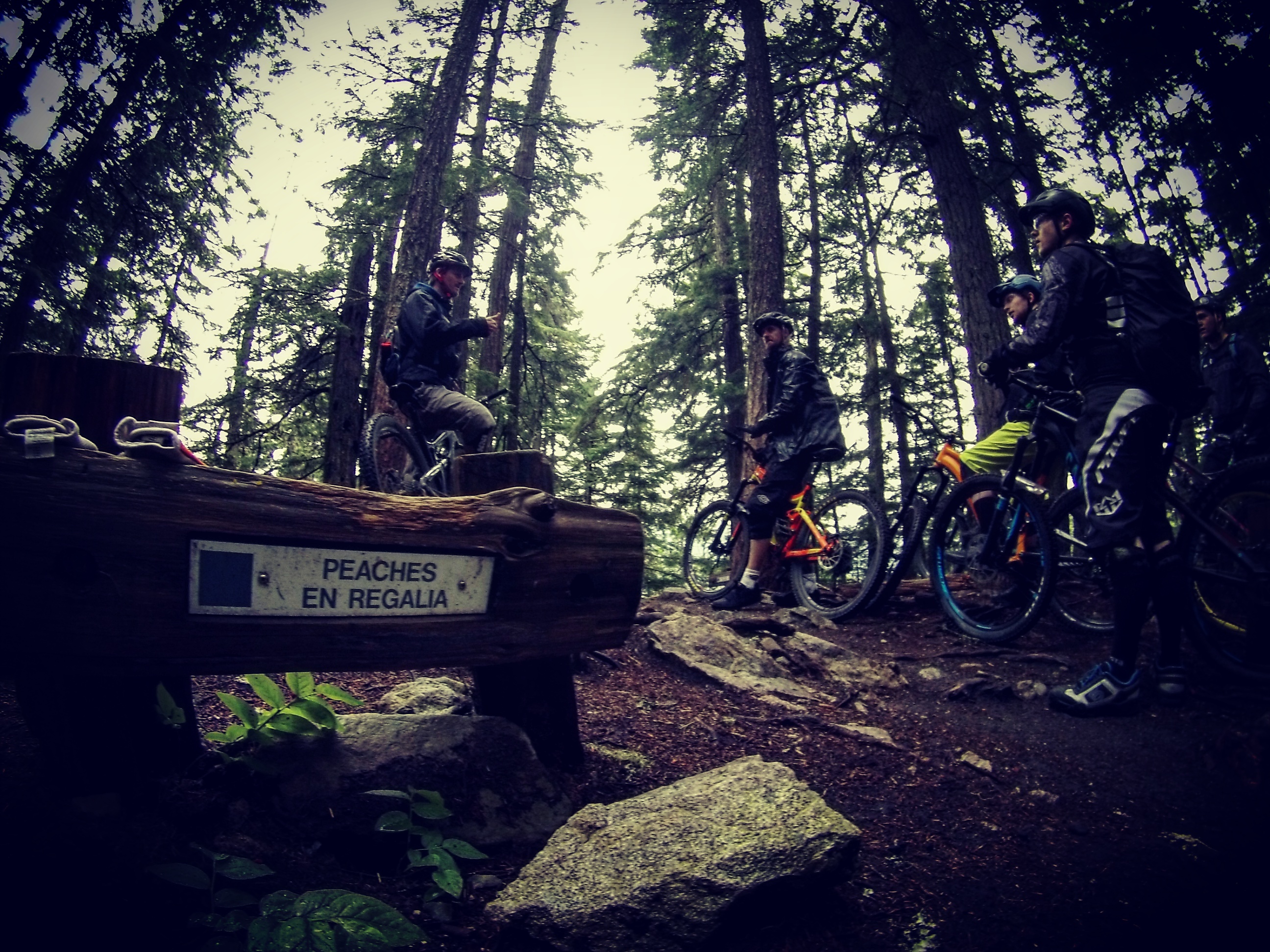 Bike Park Academy trainees riding the famous Lost Lake trails