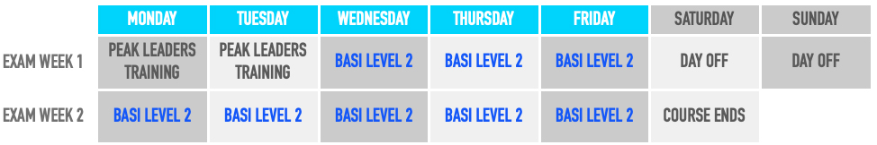 Saas Fee BASI Level 2 schedule